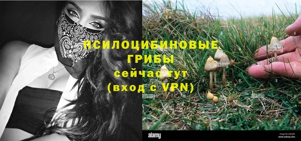 не бодяженный Бежецк