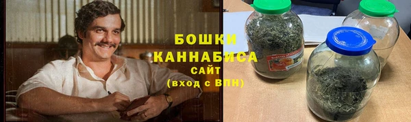 шишки Лабытнанги
