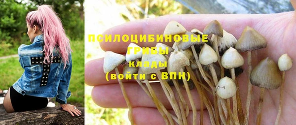 мдма Белая Холуница